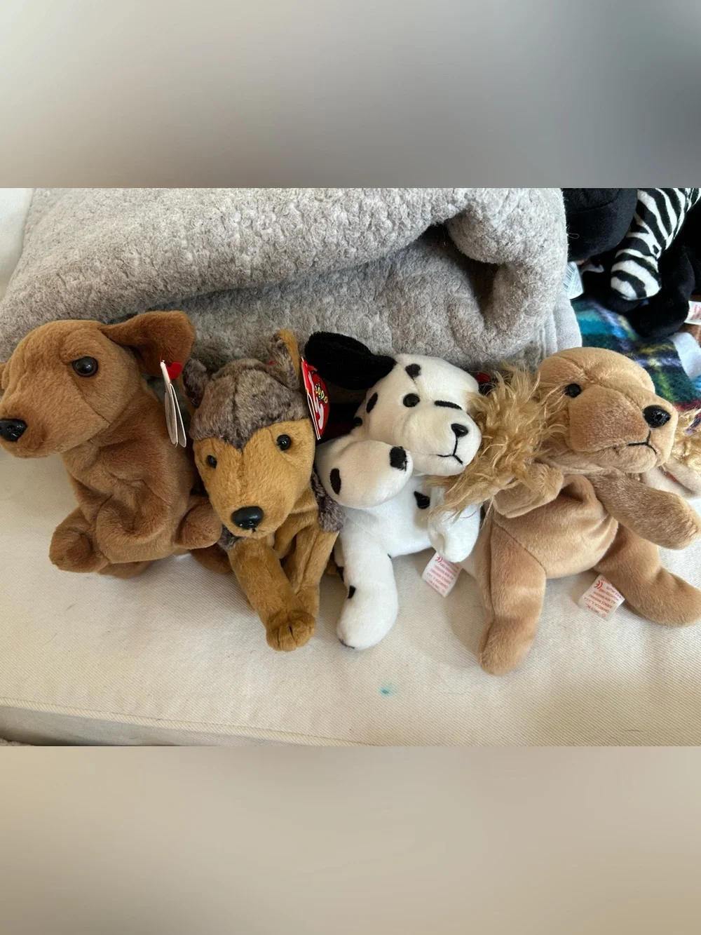 13 Ty beanie baby dogs in like new condition 1994-2000